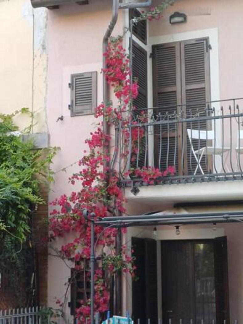 Bouganville House Senigallia Esterno foto